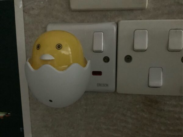 Light-Controlled Sensor LED EU Plug Egg Shell Duck Night Light with Mushroom Wall Socket Light Lamp - Image 3